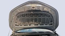 CAR HOOD