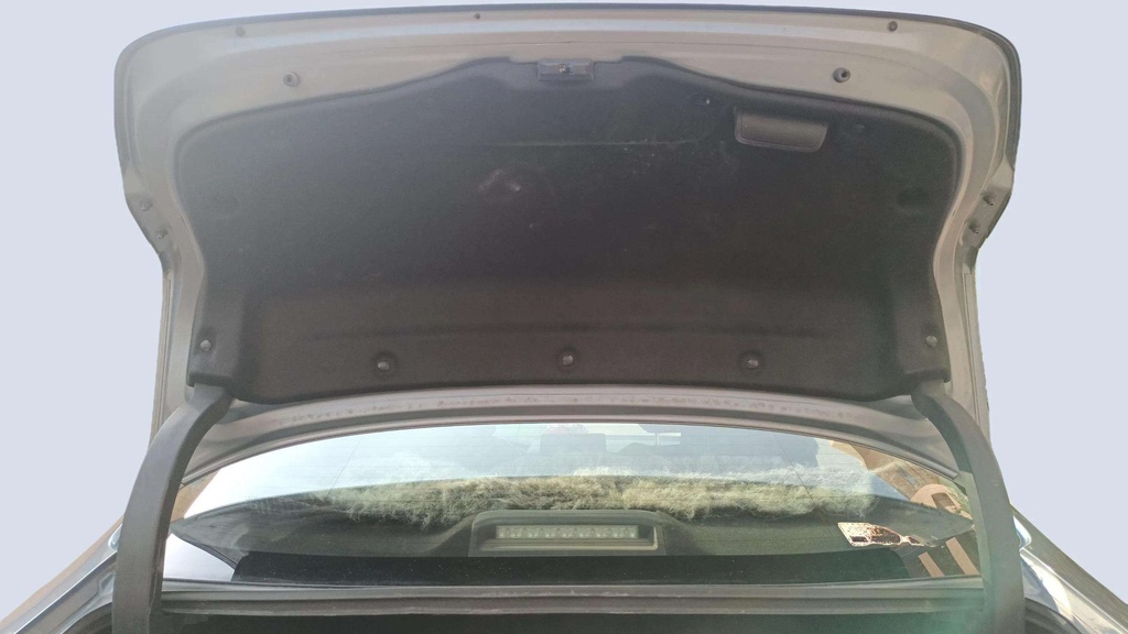TRUNK HOOD