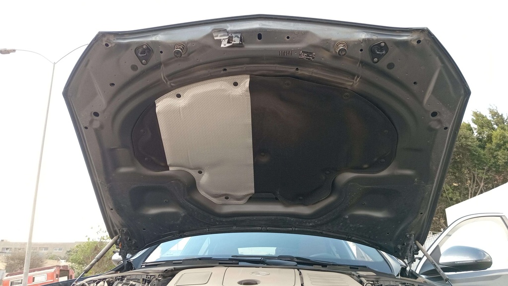 CAR HOOD