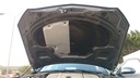 CAR HOOD