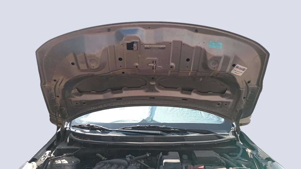 CAR HOOD