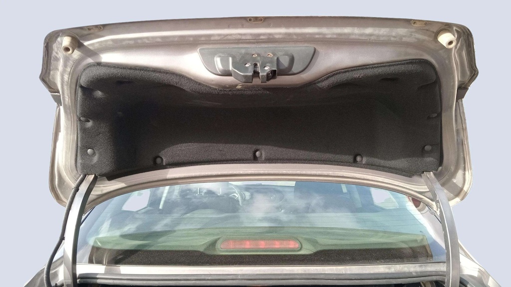 TRUNK HOOD