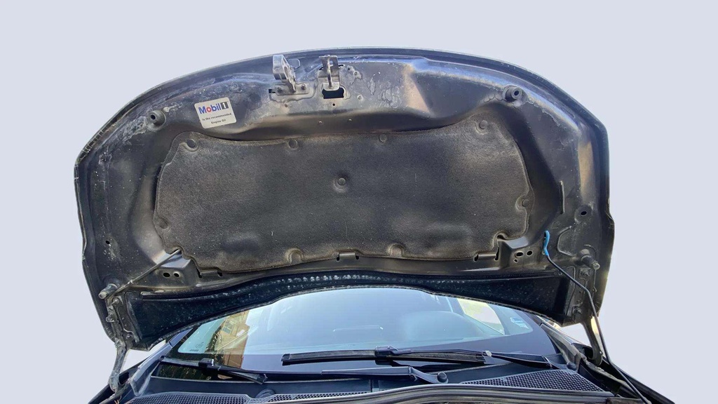 CAR HOOD