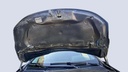 CAR HOOD