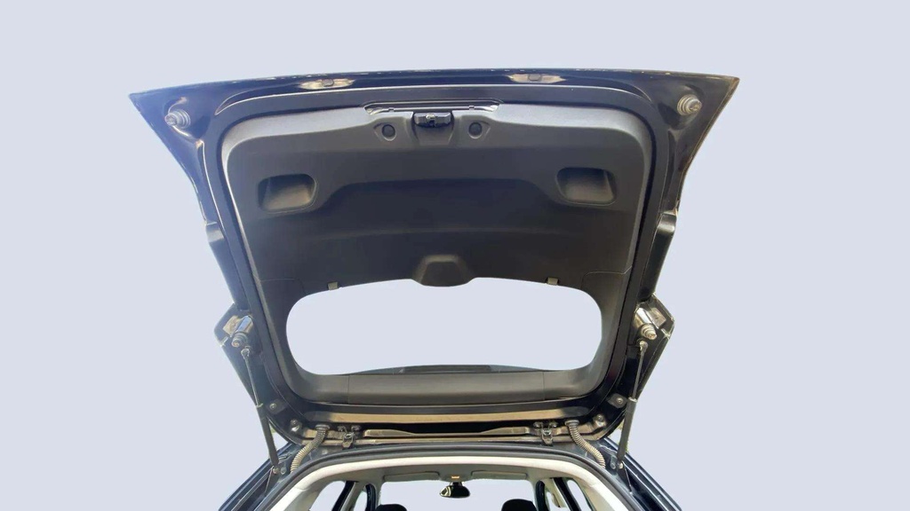 TRUNK HOOD