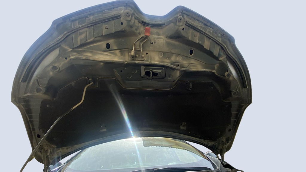 CAR HOOD