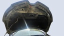 CAR HOOD