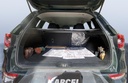 TRUNK