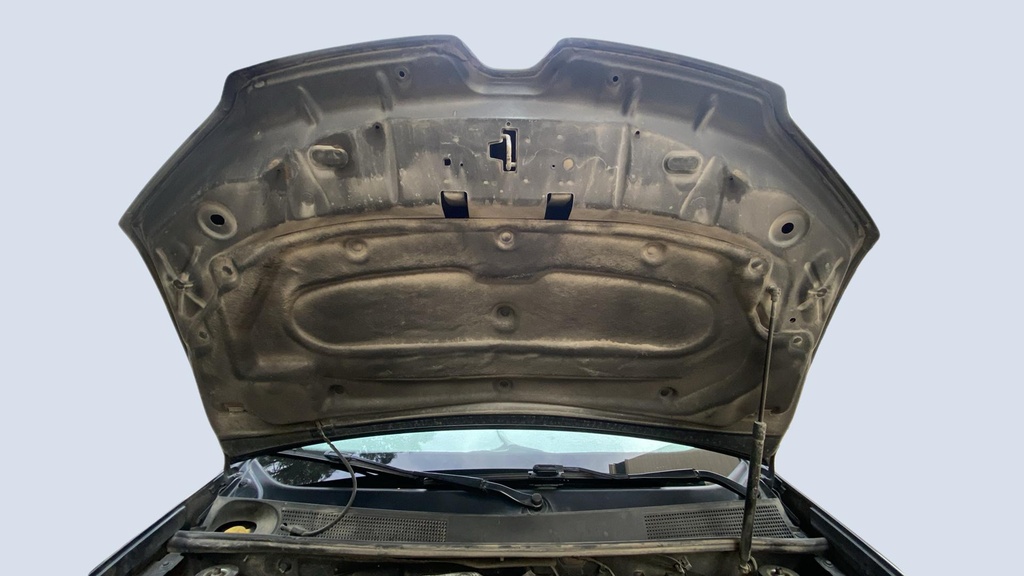 CAR HOOD