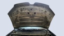 CAR HOOD