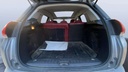 TRUNK