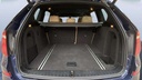 TRUNK