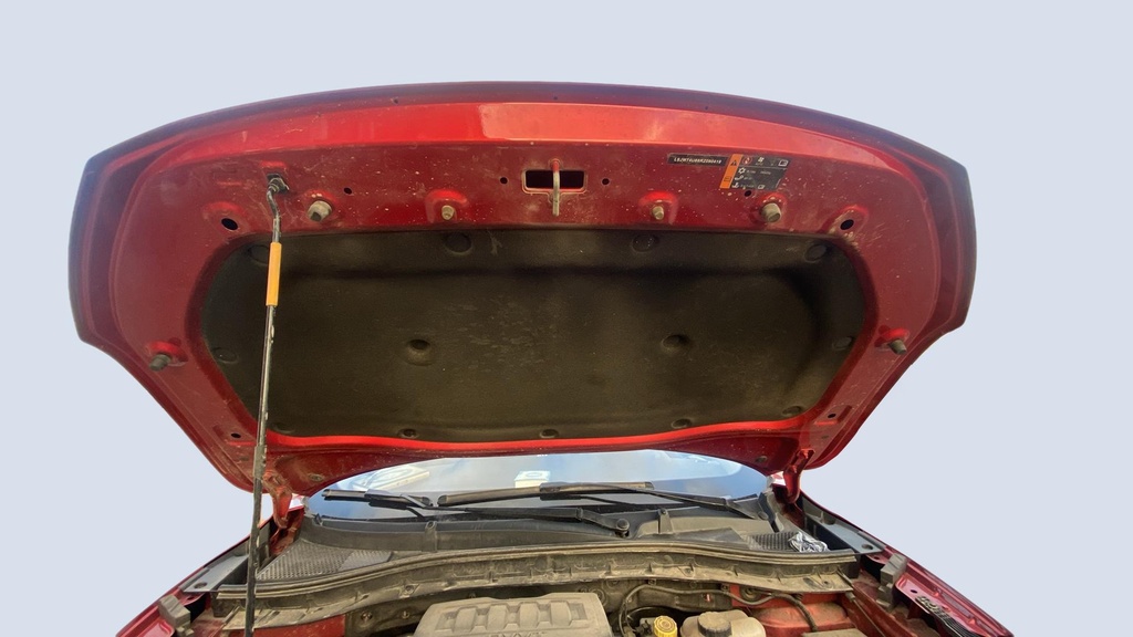 CAR HOOD