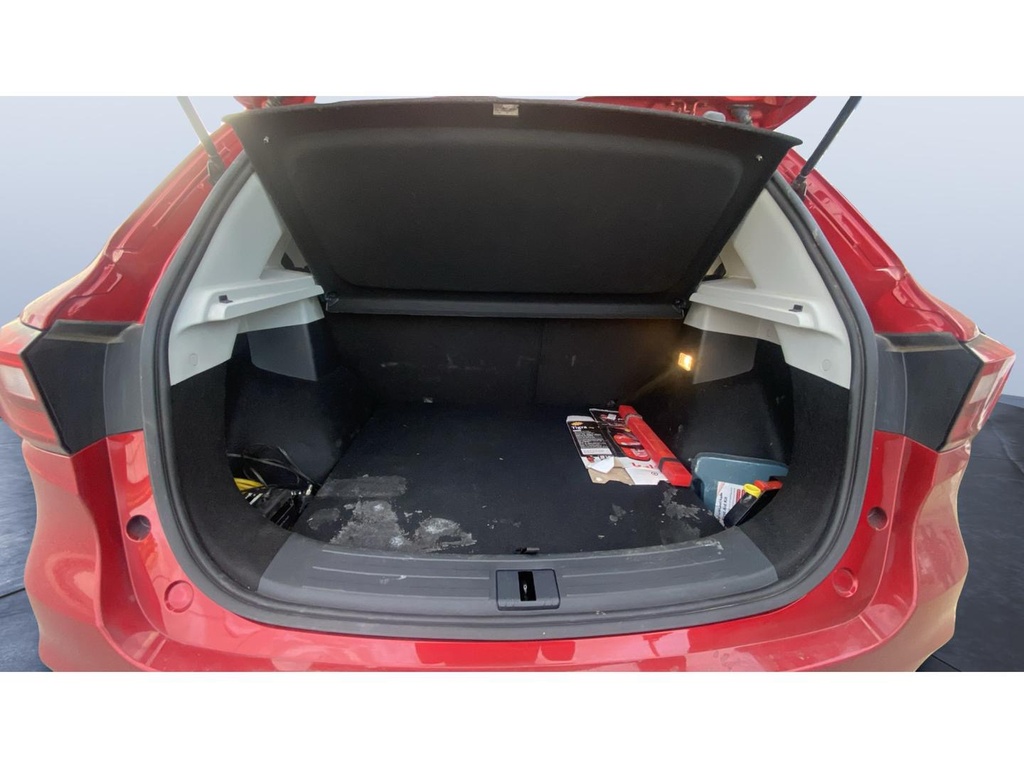 TRUNK