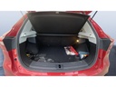 TRUNK