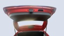 TRUNK HOOD