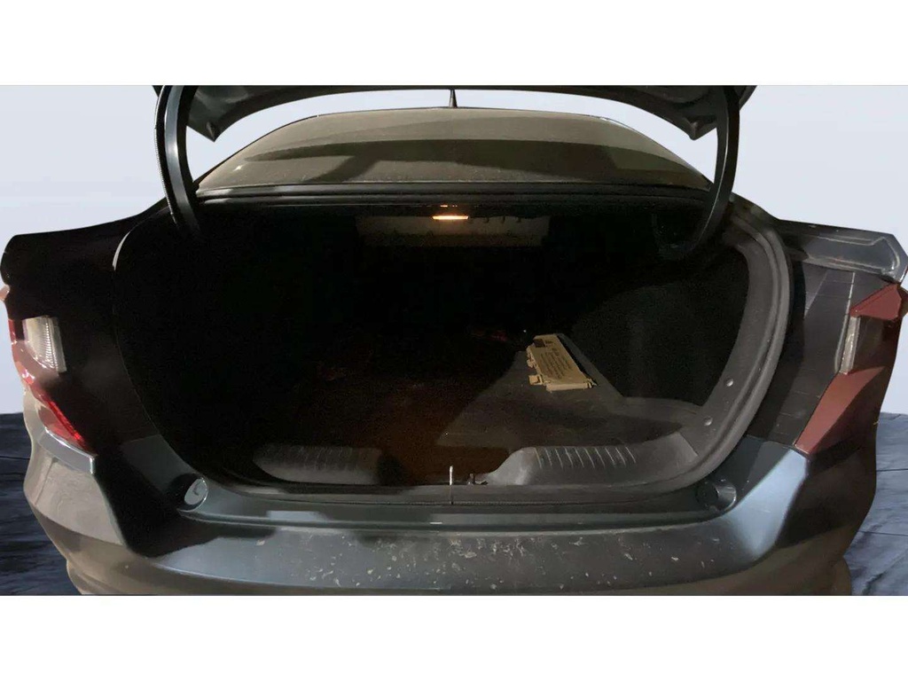 TRUNK