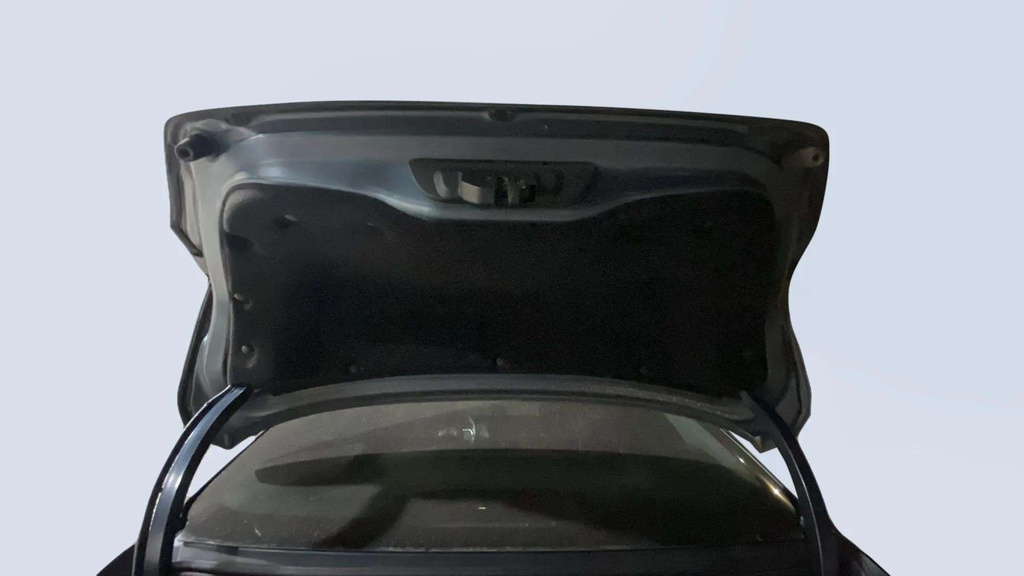 TRUNK HOOD