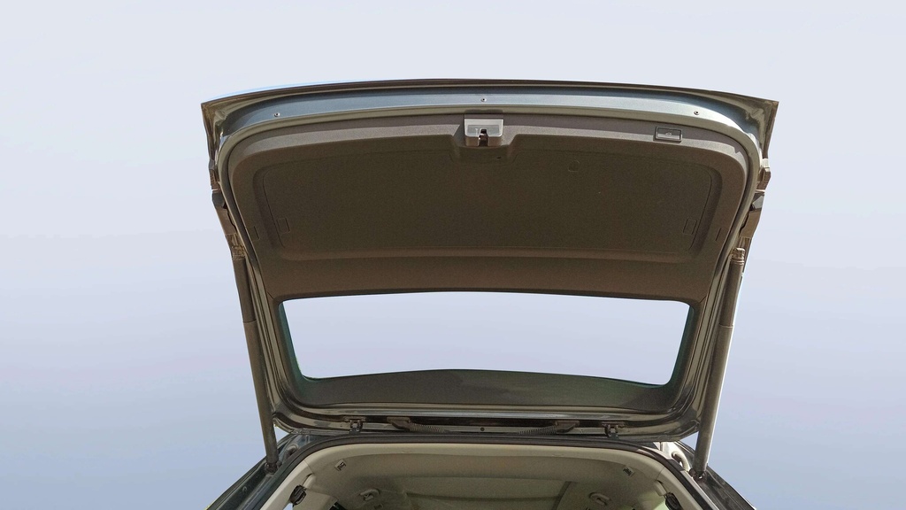 TRUNK HOOD