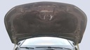 CAR HOOD