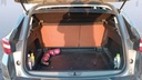 TRUNK