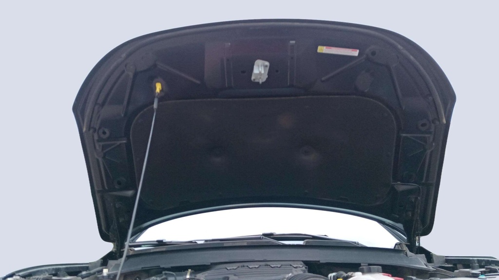 CAR HOOD