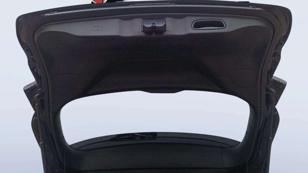 TRUNK HOOD