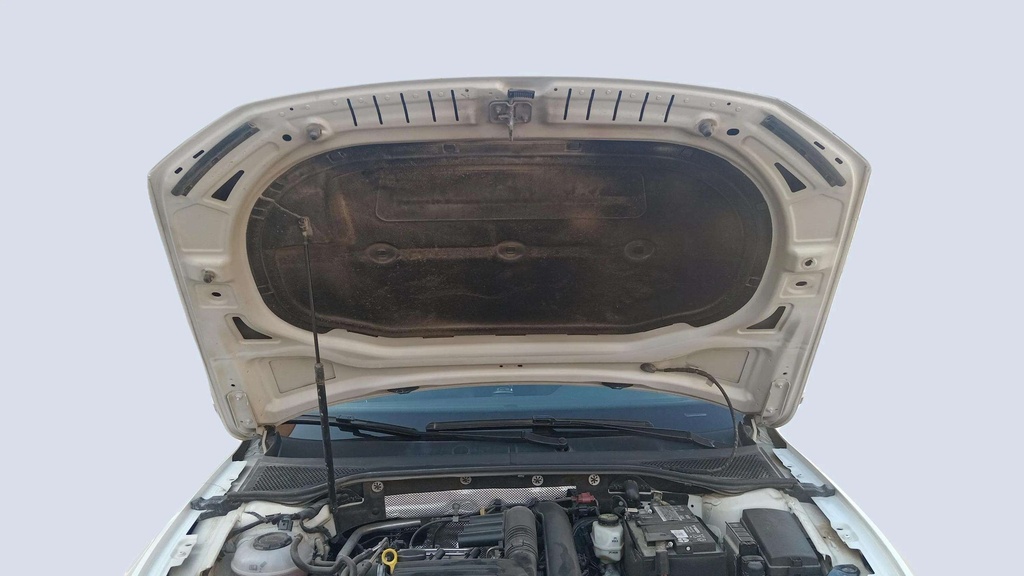 CAR HOOD