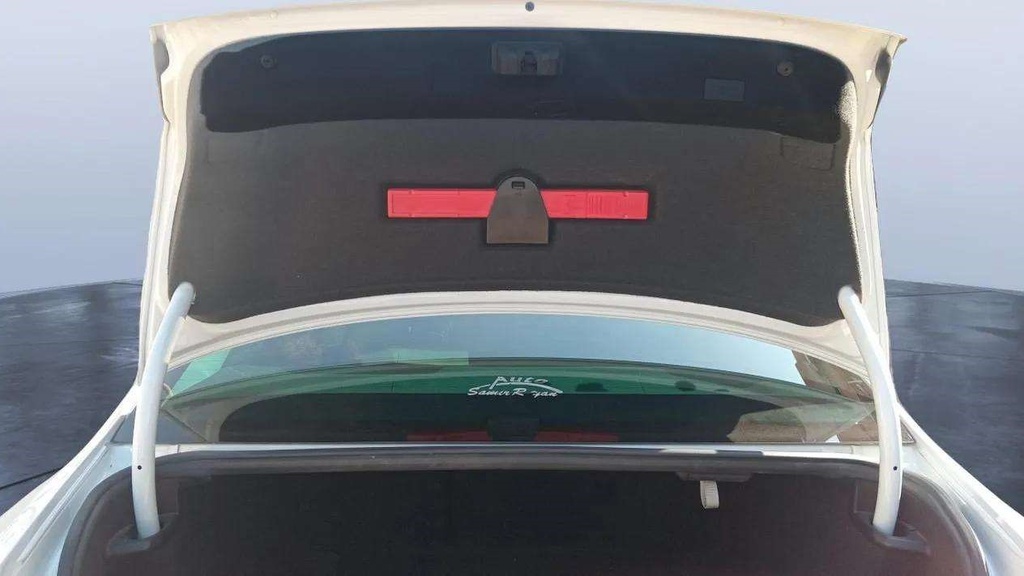 TRUNK HOOD