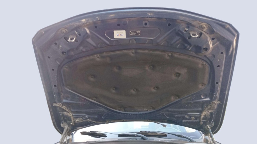 CAR HOOD