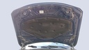 CAR HOOD