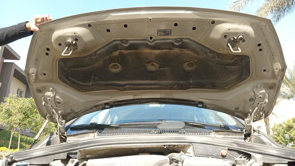 CAR HOOD