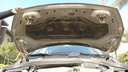 CAR HOOD