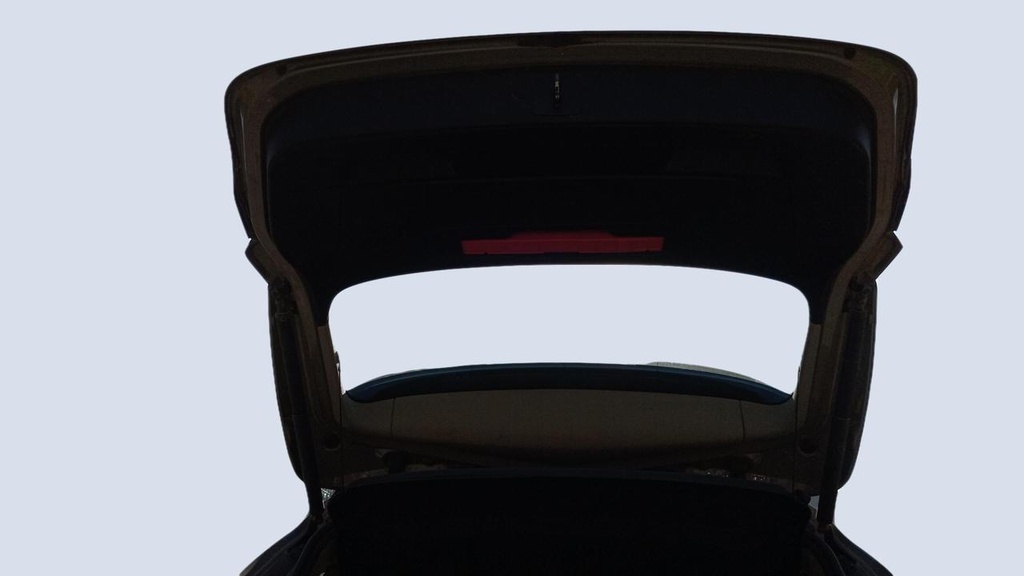 TRUNK HOOD