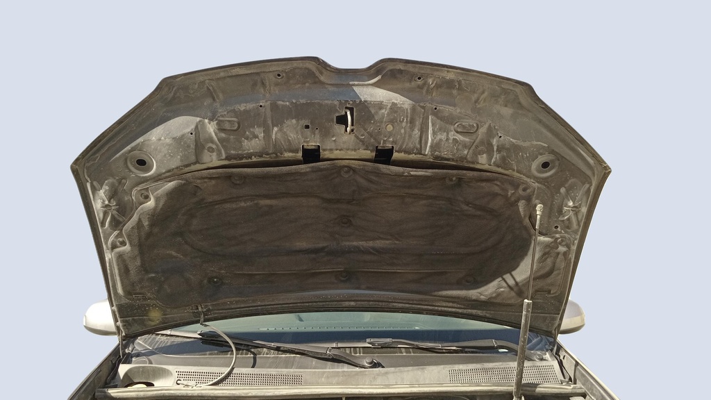 CAR HOOD