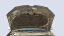 CAR HOOD