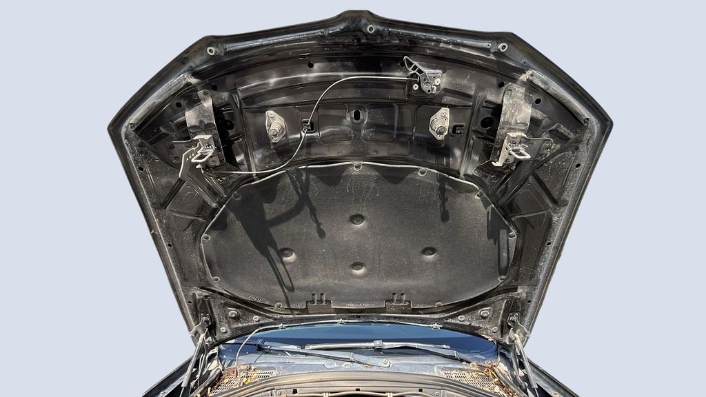 CAR HOOD