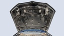 CAR HOOD