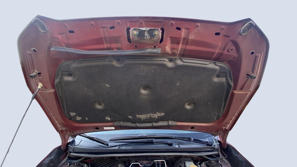 CAR HOOD
