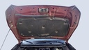CAR HOOD