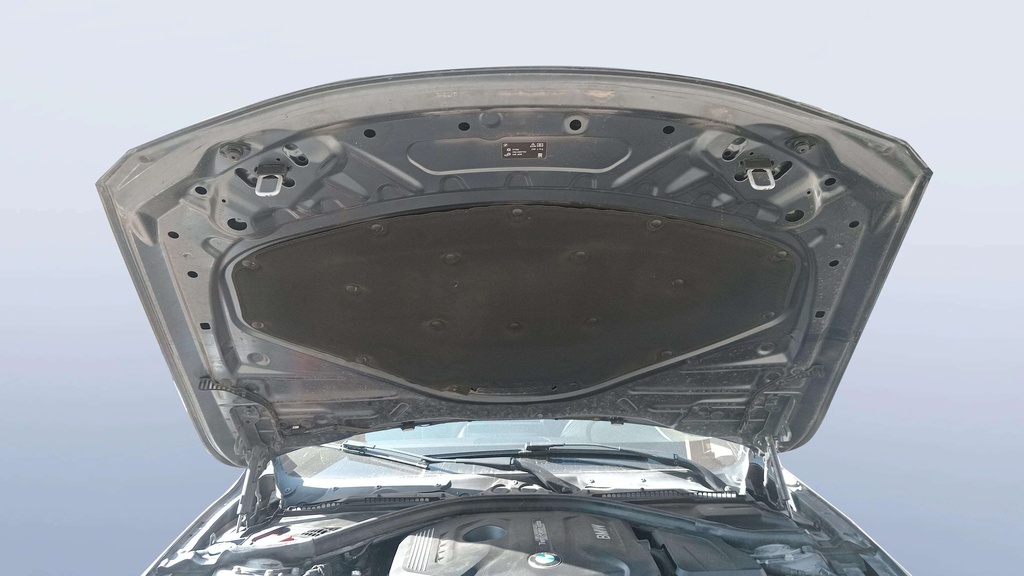 CAR HOOD