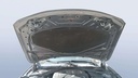 CAR HOOD