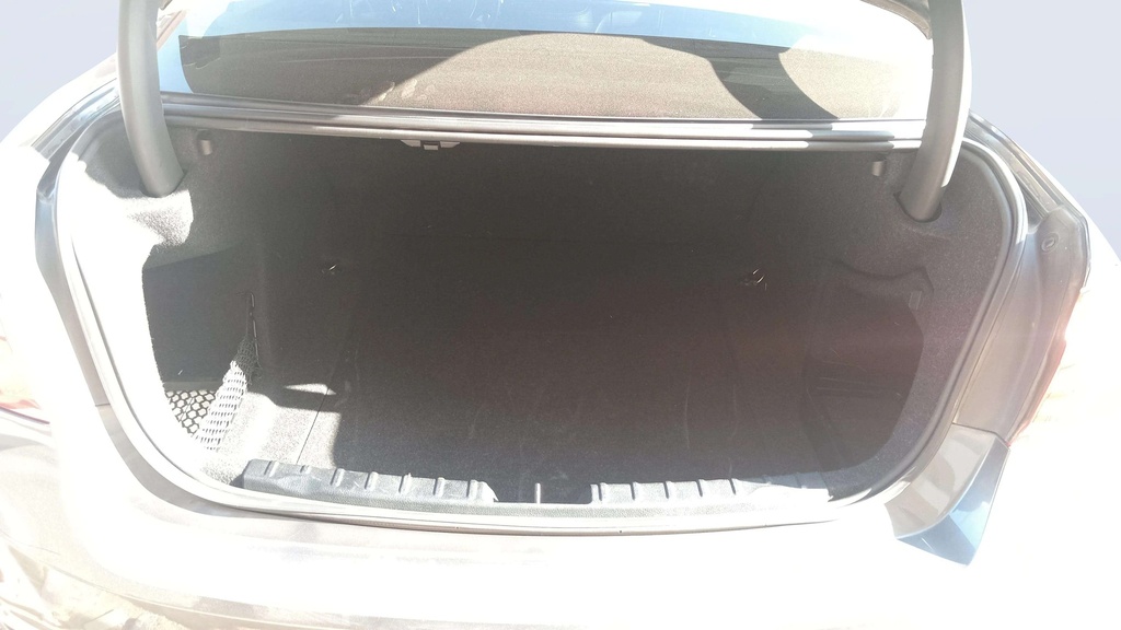 TRUNK
