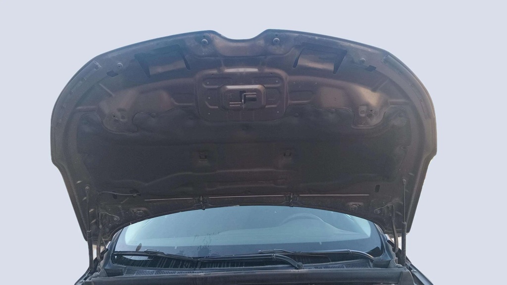 CAR HOOD
