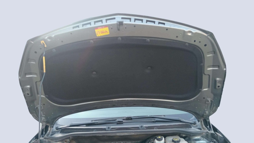 CAR HOOD