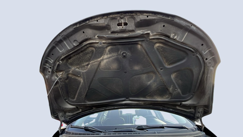 CAR HOOD