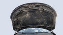 CAR HOOD