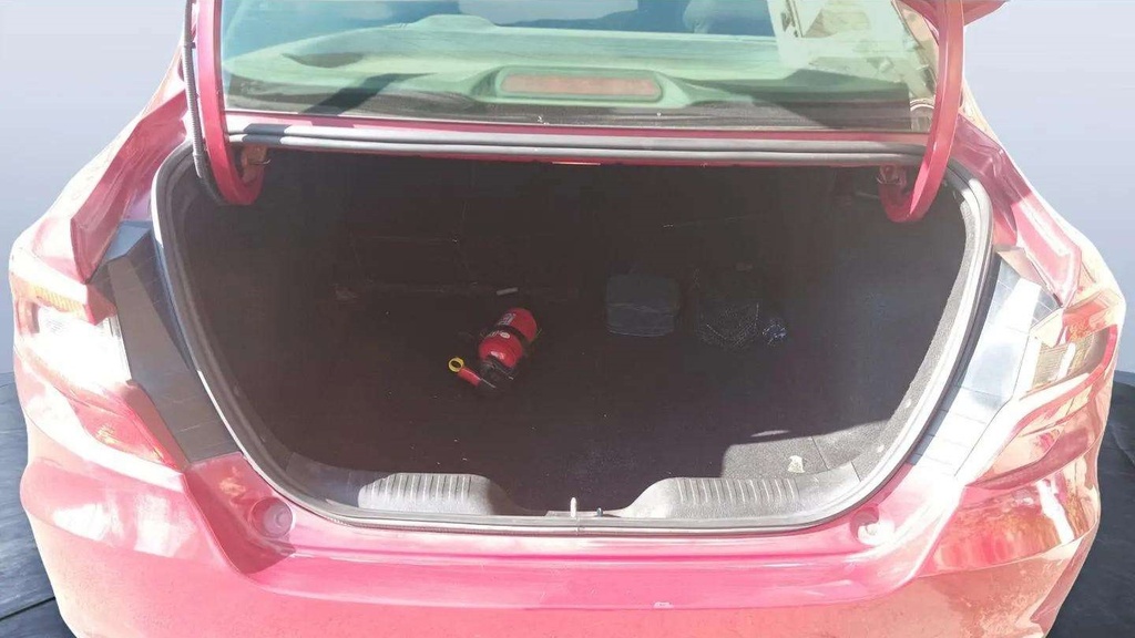 TRUNK