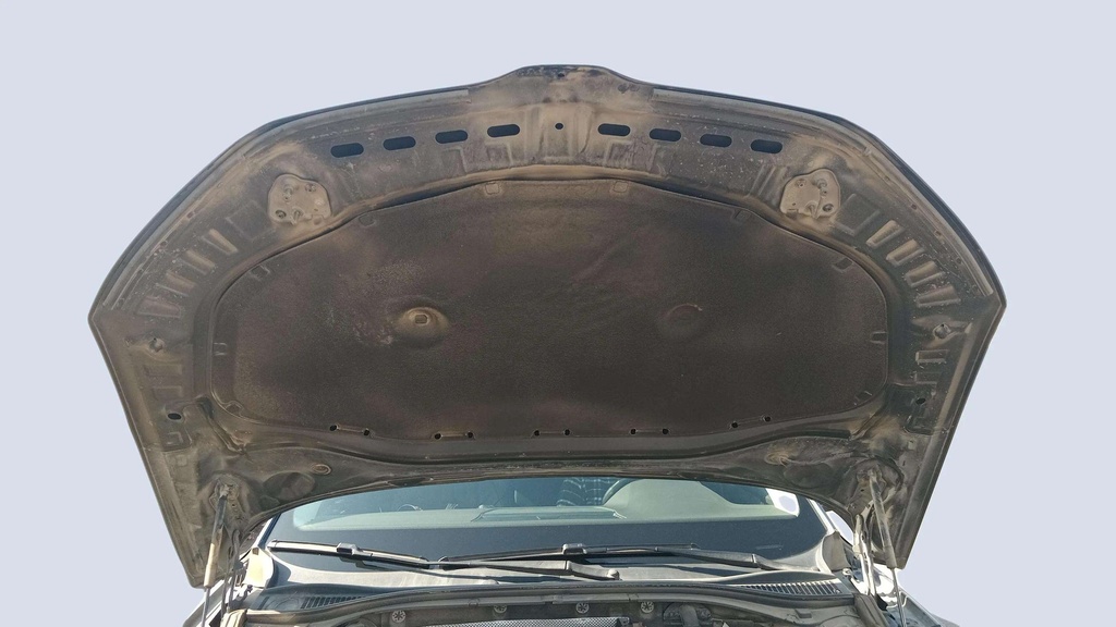 CAR HOOD