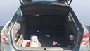 TRUNK
